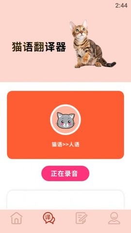 摸摸小猫app图1