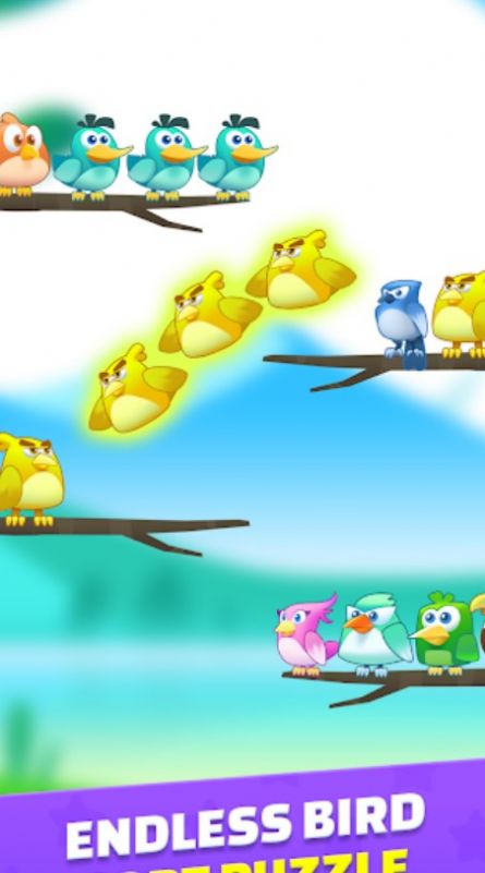 鸟类分色大师游戏安卓手机版图1