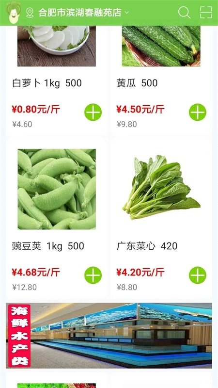 绿白菜图2