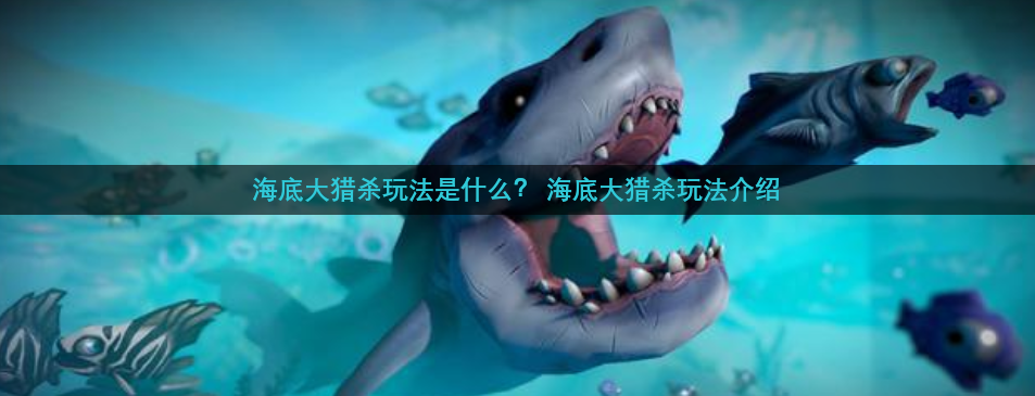 海底大猎杀玩法是什么？ 海底大猎杀玩法介绍