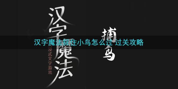 汉字魔法捉住小鸟怎么过 过关攻略