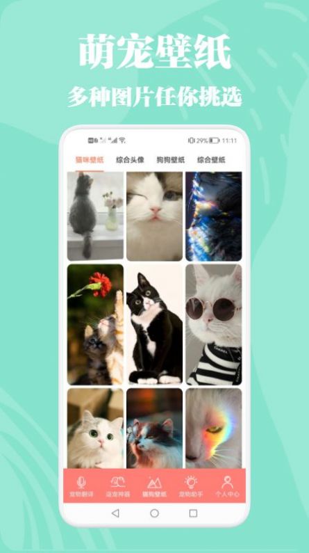 猫狗类动物交流器图3