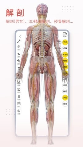 3Dbody解剖app最新版图2