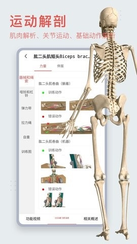 3Dbody解剖app最新版图0