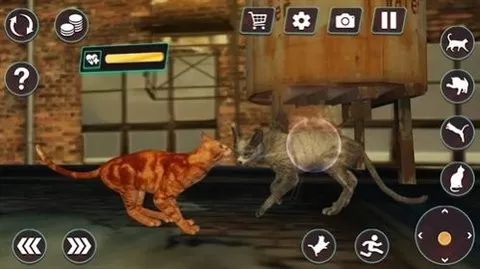 猫咪格斗战争模拟器图1