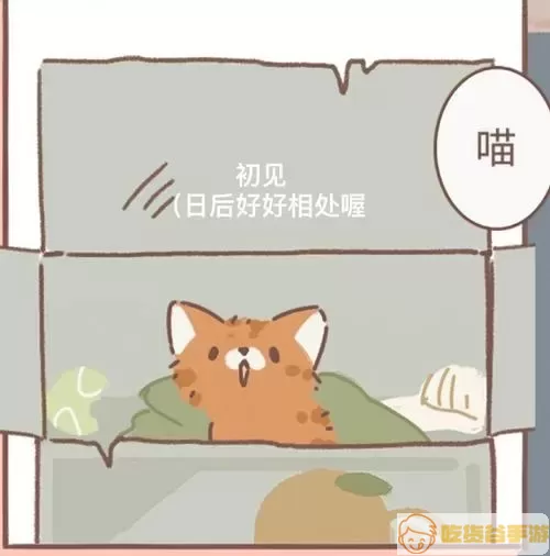 遇见你的猫几点刷新第二天？一年没见猫咪还认识吗？