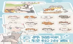 遇见你的猫沈莫官配 遇见璀璨的你演员表