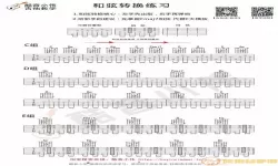 纯白和弦cv 纯白和弦蔡文姬