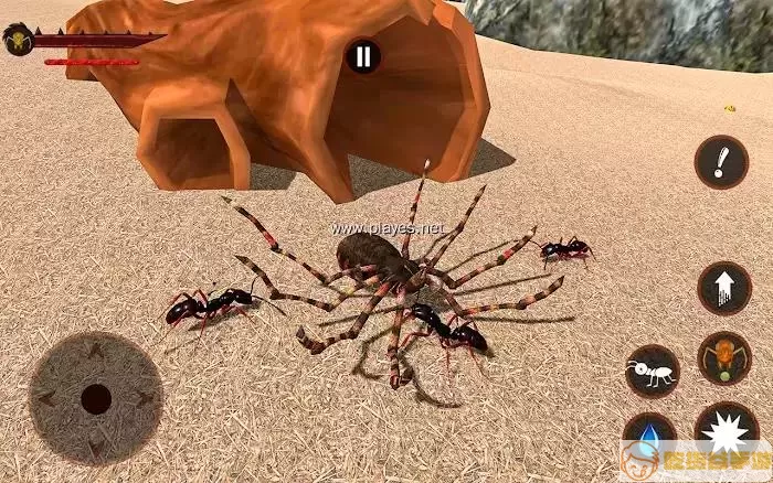 蚂蚁模拟器图片 蚂蚁模拟器截图 imitate ants