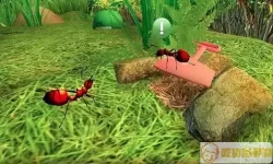 蚂蚁模拟器汉化版 蚂蚁模拟汉化版 海量趣味尽情体验