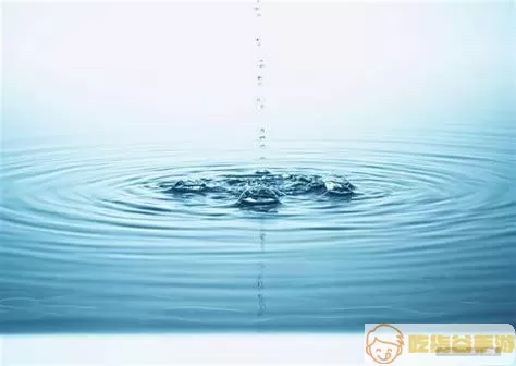 梦幻龙族进行水净化任务 梦幻龙族水净化任务