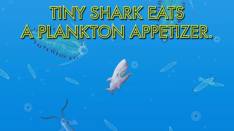 美味海洋鲨鱼版下载手机版图3