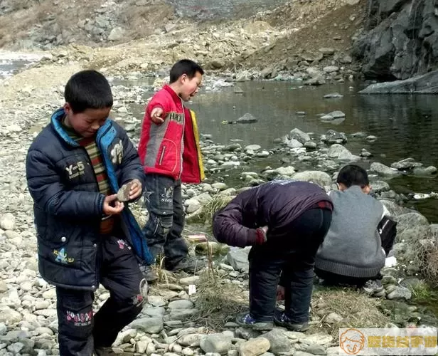 《就挺秃然的》孩子们在山里怎么玩