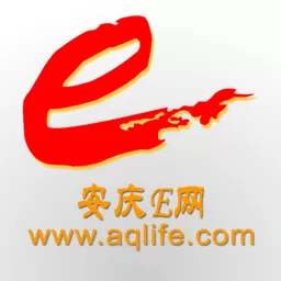 安庆E网app安卓版