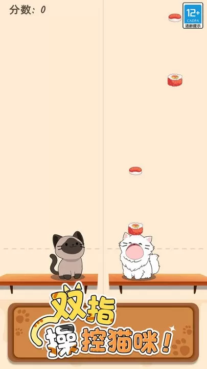 Duet Cats下载官网版图1