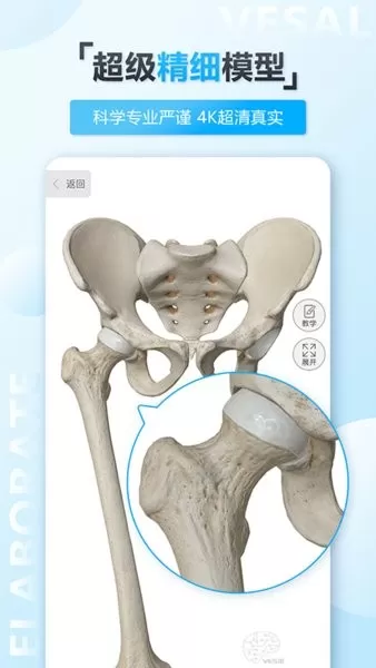 维萨里3D解剖软件下载图0