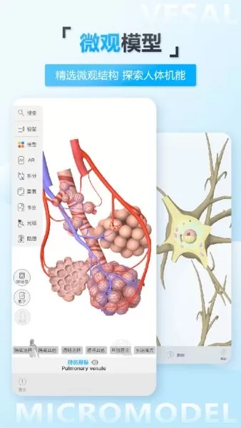 维萨里3D解剖软件下载图1