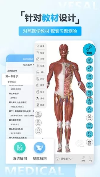 维萨里3D解剖软件下载图2