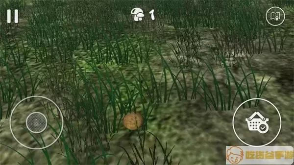 真实采集蘑菇模拟器手机游戏