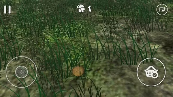 真实采集蘑菇模拟器手机游戏图3