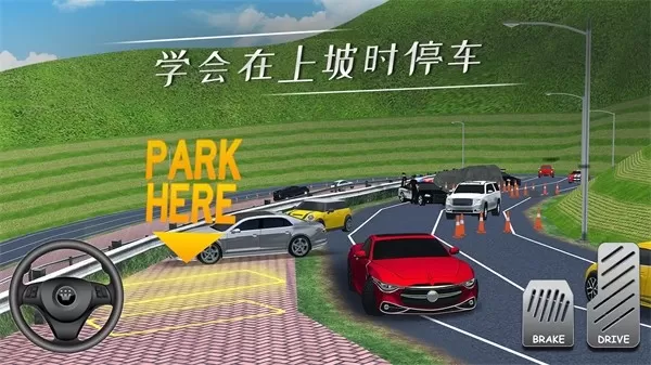 ParkingProfessor免费手机版图1