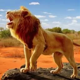 狮王狩猎生存下载安卓版