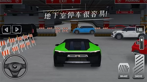 ParkingProfessor免费手机版图2