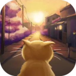 orange cat最新版app