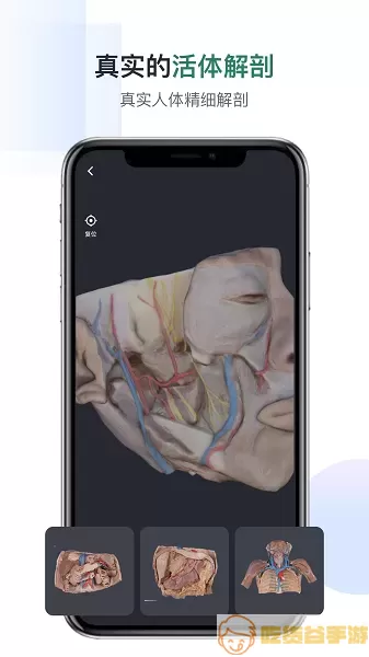 口袋人体解剖下载app