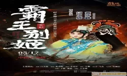 手机三国名将无双传无限技能