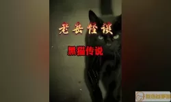 黑猫奇闻社二号车厢怎么解锁