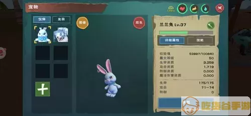 创造与魔法疯疯兔合成表