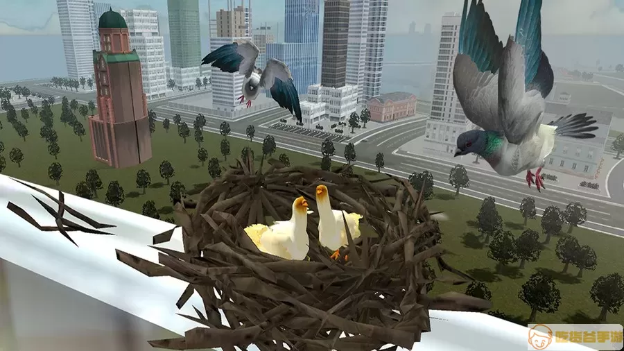 鸽子生存模拟安卓下载