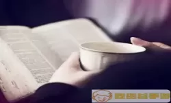 爱阅读头像