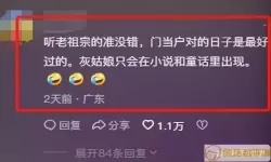 白马小说app最新版功能