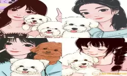 比熊漫画打不开怎么回事