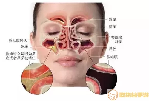 人体工厂鼻腔