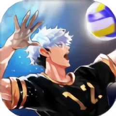 The Spike Volleyball battle安卓版安装 v3.1.2 