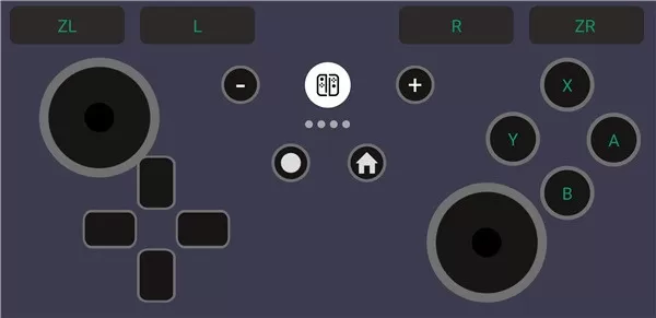 Switch手柄Pro安卓版最新图2