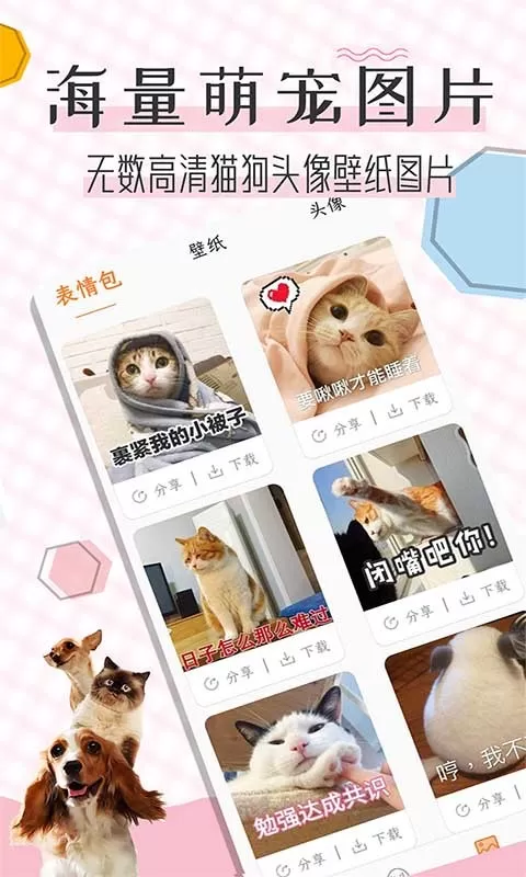 猫语翻译宝官网版最新图0