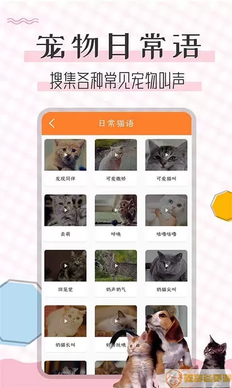 猫语翻译宝官网版最新