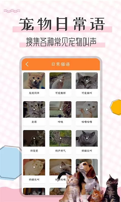 猫语翻译宝官网版最新图2