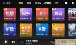 酷我音乐车机版怎么播放mv