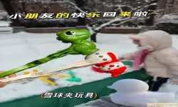 雪球玩数学和雪球课堂