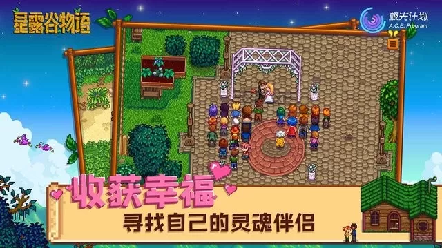 Stardew Valley游戏下载图2