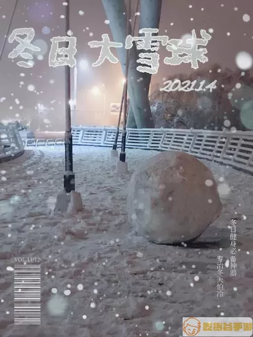 雪球玩数学停报后系统用不了