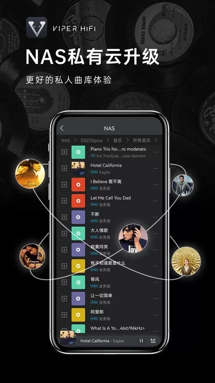 VIPER HiFi免费下载图0