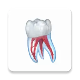 Dental Illustrations下载免费版