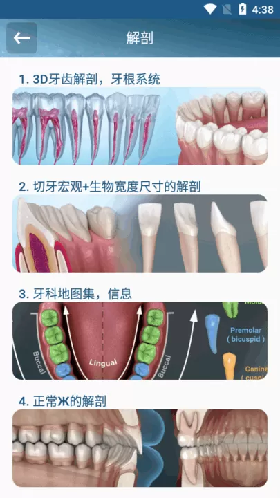 Dental Illustrations下载免费版图1