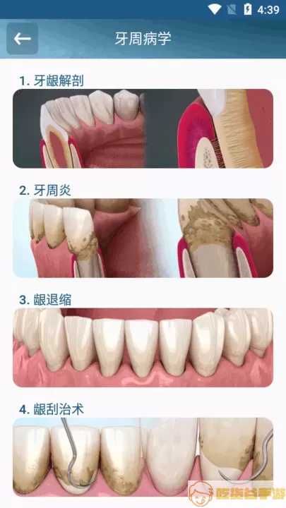 Dental Illustrations下载免费版